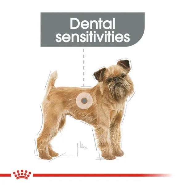 Royal Canin Mini Dental Care - Суха храна за кучета от дребни породи при чувствителни зъби